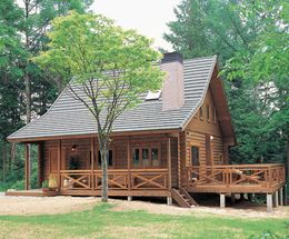 Log Home Model