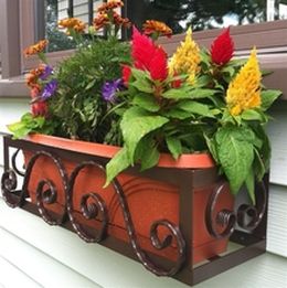 my-main-page.com