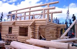 Log Home