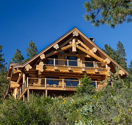 Log Cabin Front View